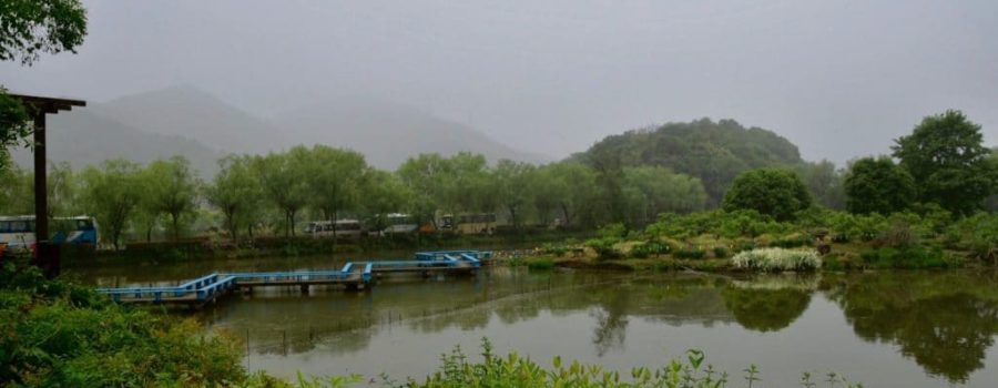 Tongjia Village – Spring Outing